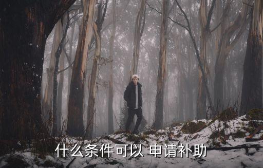 補(bǔ)貼申請,社會保險(xiǎn)補(bǔ)貼政策規(guī)定什么條件可申請補(bǔ)助