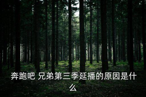  奔跑吧 兄弟第三季延播的原因是什么