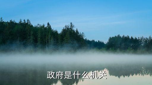 什么是政府,第一百零五條地方各級人民政府是國家行政機關之一