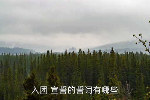 入團 宣誓的誓詞有哪些