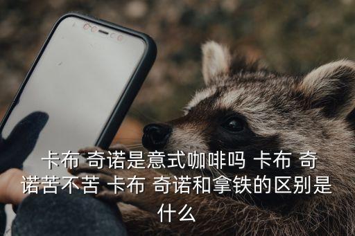  卡布 奇諾是意式咖啡嗎 卡布 奇諾苦不苦 卡布 奇諾和拿鐵的區別是什么