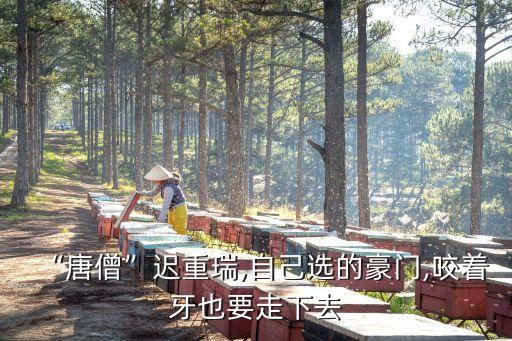 “唐僧”遲重瑞,自己選的豪門,咬著牙也要走下去