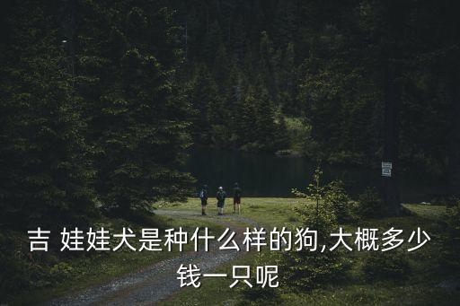 吉 娃娃犬是種什么樣的狗,大概多少錢一只呢