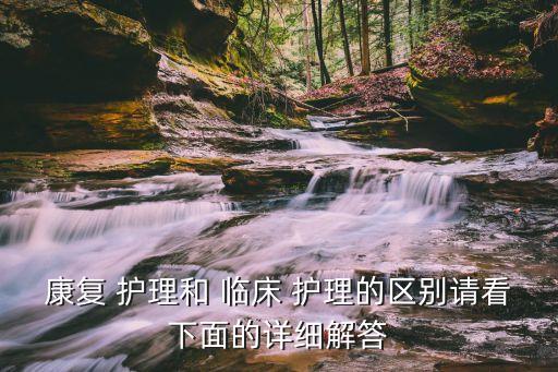 臨床護理,從護理學習到臨床護理