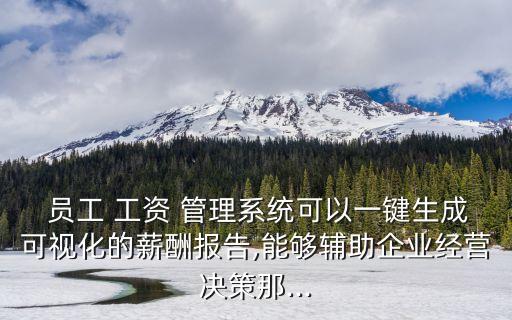  員工 工資 管理系統可以一鍵生成可視化的薪酬報告,能夠輔助企業經營決策那...