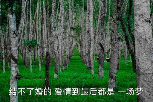 愛情是一場夢