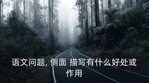 側面描寫的作用,正面描寫和反面描寫結合使文章中心更突出