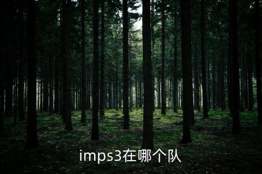 imps3在哪個隊