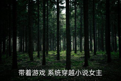 帶著游戲 系統穿越小說女主