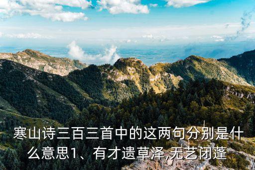  寒山詩三百三首中的這兩句分別是什么意思1、有才遺草澤,無藝閉蓬
