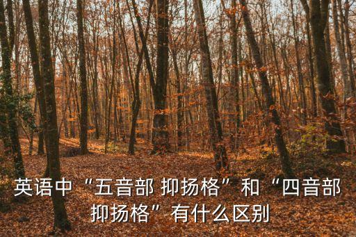 英語中“五音部 抑揚格”和“四音部 抑揚格”有什么區(qū)別