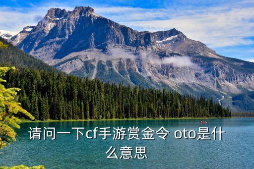 請問一下cf手游賞金令 oto是什么意思