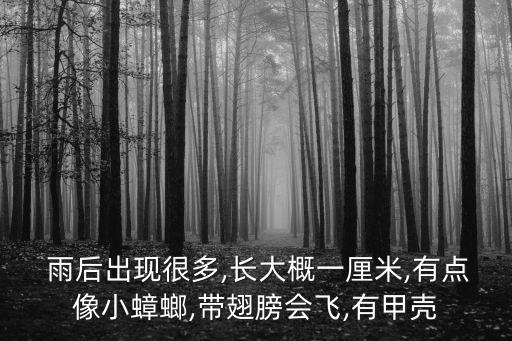 雨后圖片,陽光總在風雨后圖片
