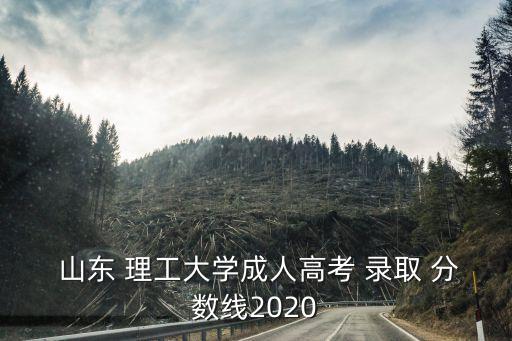 山東理工大學(xué)錄取分?jǐn)?shù)線