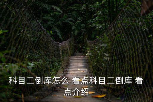 倒車入庫怎么看點,自動科目二倒車入庫怎么看點