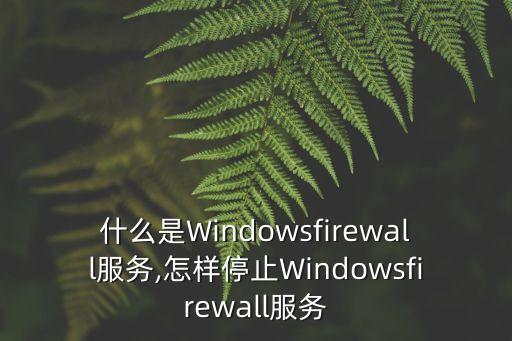 什么是Windowsfirewall服務,怎樣停止Windowsfirewall服務