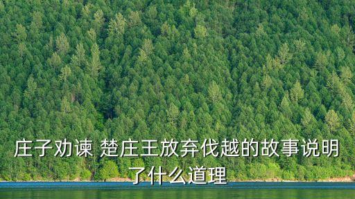楚莊王欲伐越