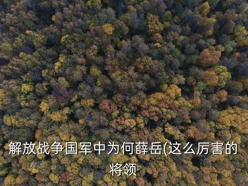 解放戰爭國軍中為何薛岳(這么厲害的將領
