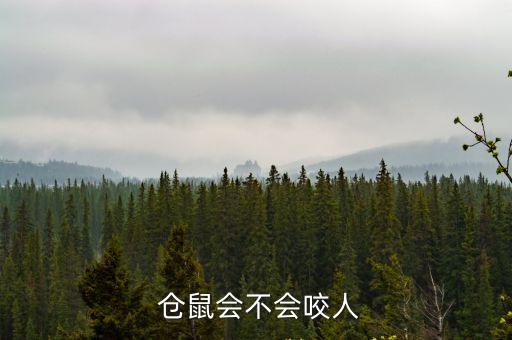  倉鼠會不會咬人