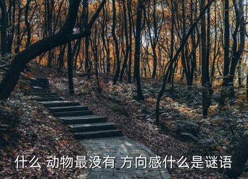 什么動物最沒有方向感,鹿角形狀特殊沒有眉毛鹿沒有角