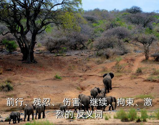 前行、殘忍、 傷害、繼續(xù)、拘束、激烈的 反義詞