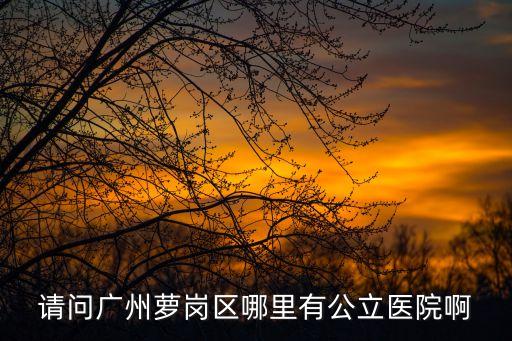 廣州蘿崗附近醫院，誰知道廣州市蘿崗佳大鴻運醫院在哪里