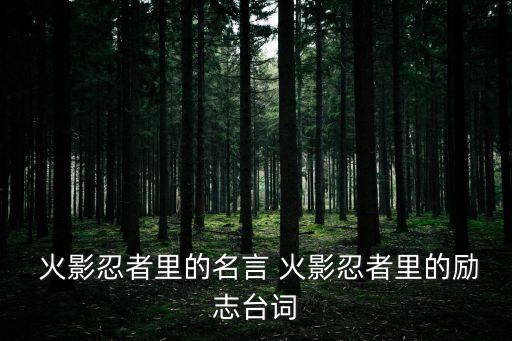 火影語錄,火影忍者三代火影經(jīng)典語錄