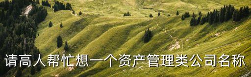 請高人幫忙想一個資產管理類公司名稱