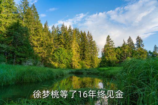 徐夢桃等了16年終見金