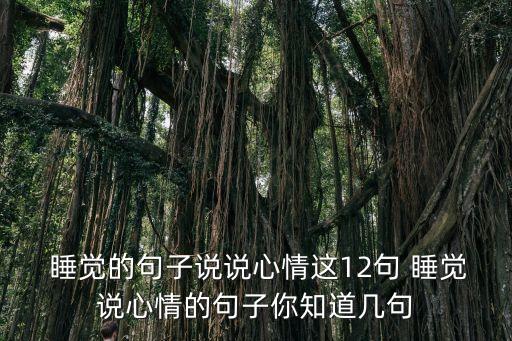睡覺的說說,關于睡覺的幽默句子有哪些?