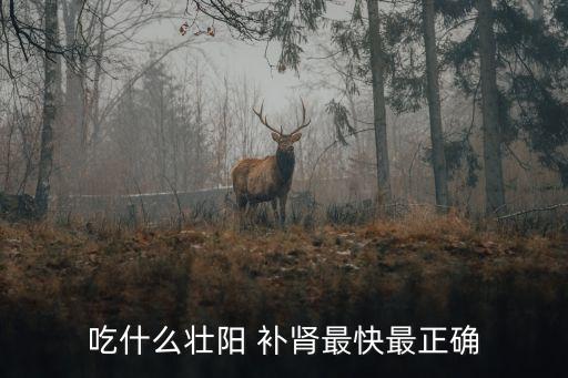 吃什么壯陽 補腎最快最正確