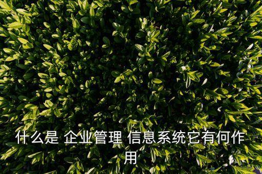 企業信息系統,企業管理信息系統有哪些?