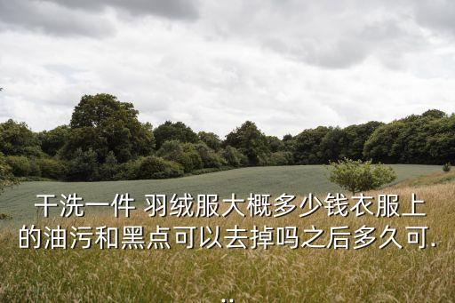  干洗一件 羽絨服大概多少錢衣服上的油污和黑點可以去掉嗎之后多久可...