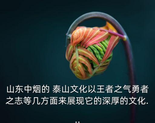 山東中煙的 泰山文化以王者之氣勇者之志等幾方面來展現(xiàn)它的深厚的文化...