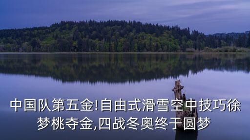 中國隊第五金!自由式滑雪空中技巧徐夢桃奪金,四戰冬奧終于圓夢