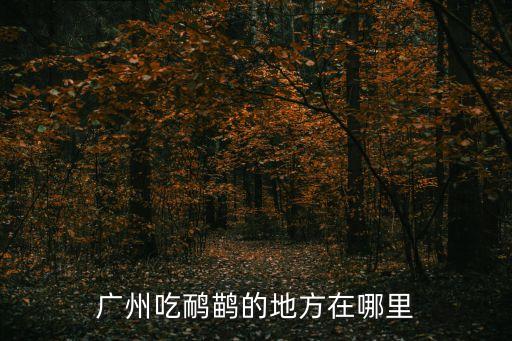 廣州吃鴯鹋的地方在哪里