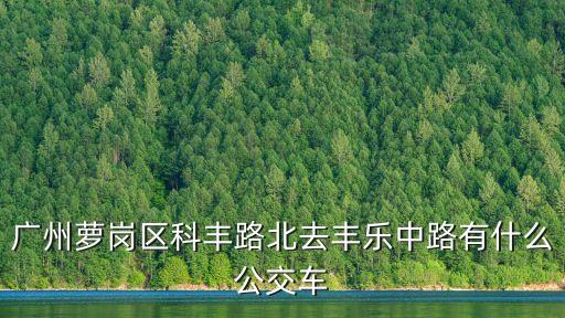 廣州蘿崗區科豐路北，請問白云機場下了飛機下午五點左右該如何到黃埔區科豐路北加莊