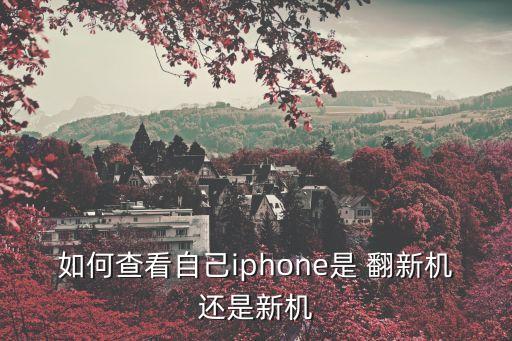 蘋果翻新機,蘋果手機是否為翻新機?