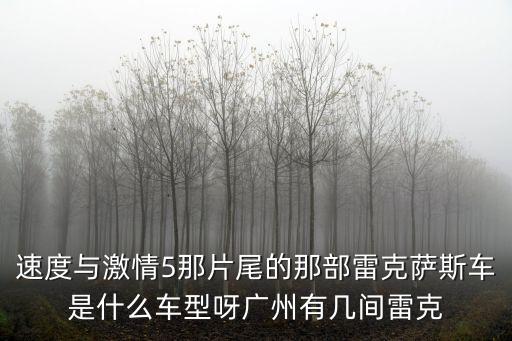 速度與激情5那片尾的那部雷克薩斯車是什么車型呀廣州有幾間雷克