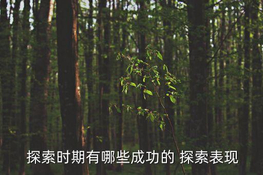  探索時(shí)期有哪些成功的 探索表現(xiàn)