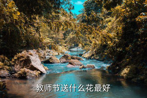 一束花圖片,天人菊花語(yǔ):團(tuán)結(jié)就是力量象征