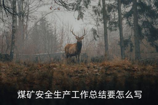 煤礦工作總結(jié),警示教育心得體會2023年煤礦工作總結(jié)