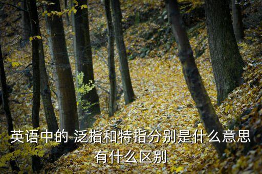 泛指是什么意思,復數名詞表泛指是什么意思