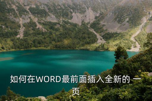 如何在WORD最前面插入全新的 一頁