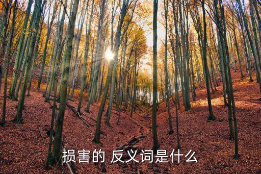 損害的 反義詞是什么