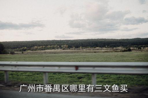 廣州市番禺區哪里有三文魚買