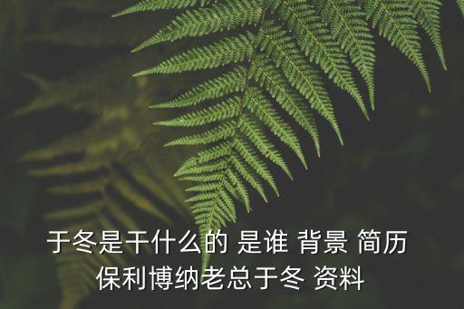 于冬是干什么的 是誰 背景 簡歷 保利博納老總于冬 資料