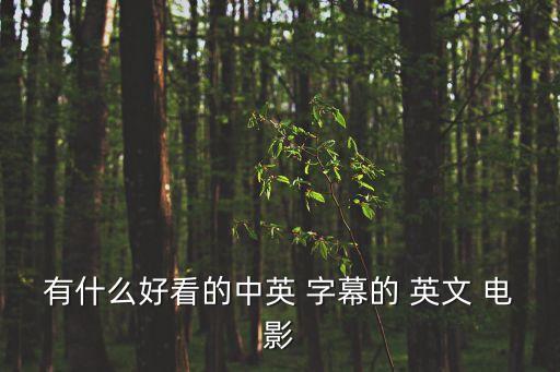 有什么好看的中英 字幕的 英文 電影