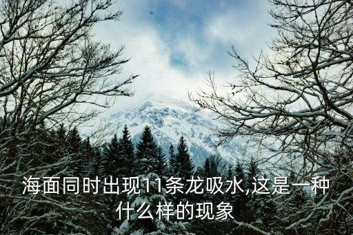 海面同時出現11條龍吸水,這是一種什么樣的現象