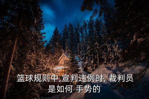  籃球規(guī)則中,宣判違例時(shí), 裁判員是如何 手勢(shì)的